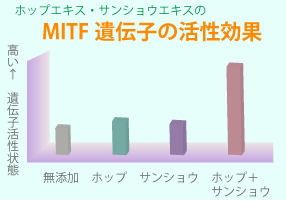 ホップ＋サンショウの相乗効果で遺伝子も元気ハツラツ！？